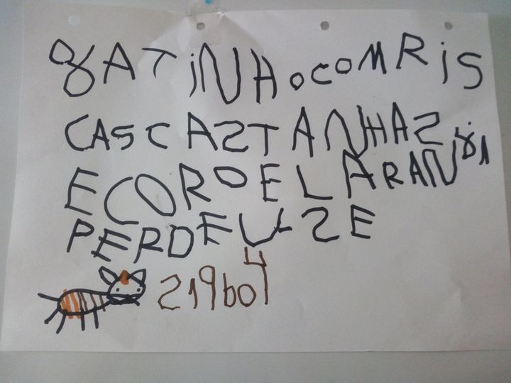 Matilde Soares<br />Gatinho Com Riscas (2016)